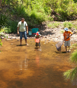 Kids love to explore Creeks. Some old Tandanus nests can be seen in the foreground. Photo© Gunther Schmida.