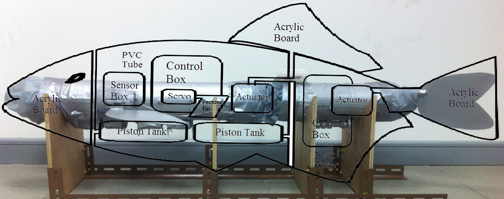 3D robotic fish structure diagram, How their robot fish would look, when the "cosmetic" exterior is added.