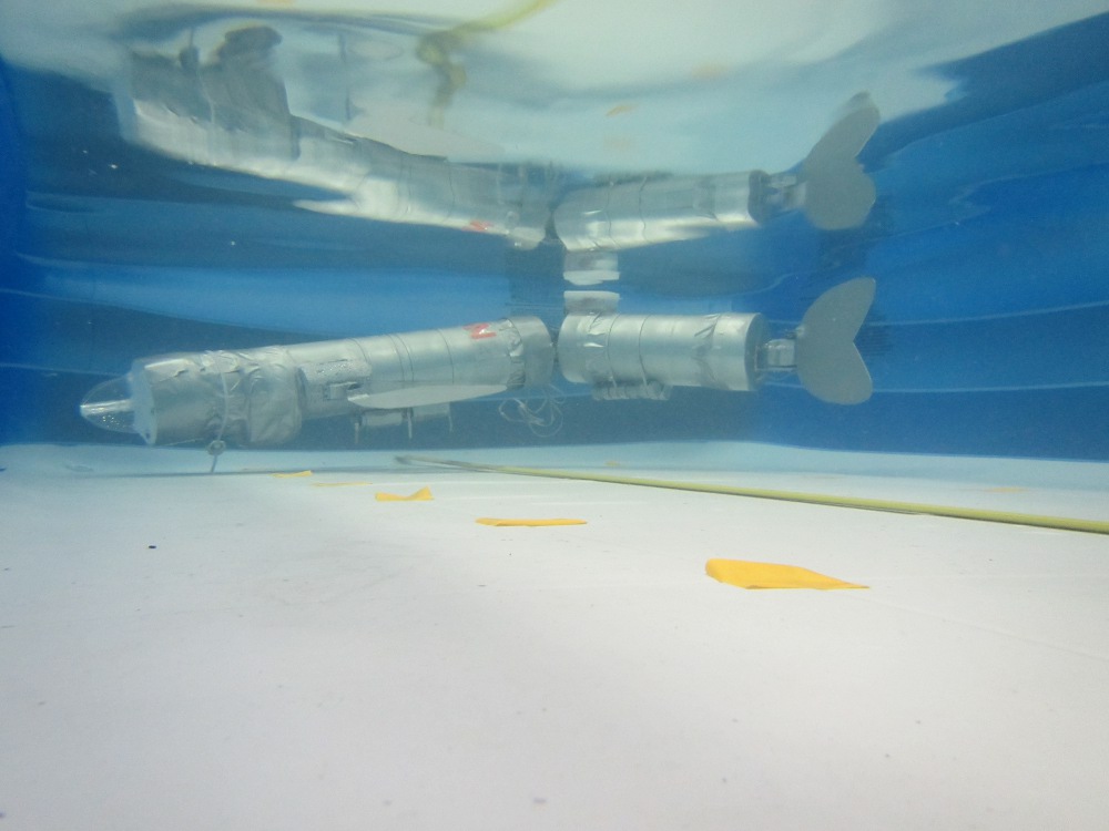 A 3D prototype of the Robot Carp, submerged in water. Photo: National University of Singapore (NUS)