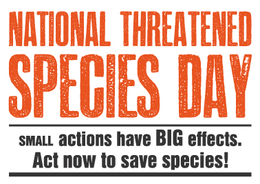 National Threatened Species Day 2013: small actions have BIG effects. Act now to save species!