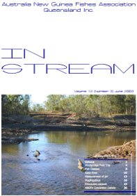 In-Stream magazine cover from June 2003