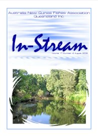 In-Stream 17:04 - August 2008 In-Stream 17:04