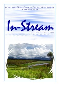 In-Stream 19:01 - January 2010 In-Stream 19:01