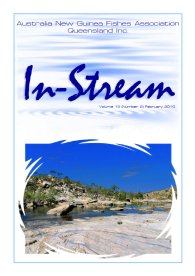 In-Stream 19:02 - February 2010 In-Stream 19:02