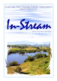 In-Stream 19:04 - April 2010 In-Stream 19:04