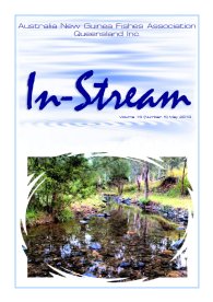 In-Stream 19:05 - May 2010 In-Stream 19:05