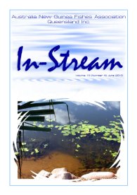 In-Stream 19:06 - June 2010 In-Stream 19:06