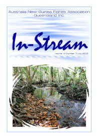 In-Stream 19:07 - July 2010 In-Stream 19:07