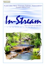 In-Stream 19:08 - August 2010 In-Stream 19:08