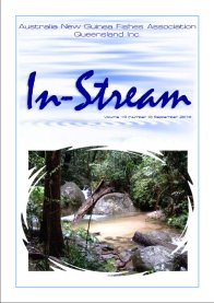 In-Stream 19:09 - September 2010 In-Stream 19:09