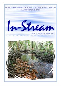 In-Stream 19:10 - October 2010 In-Stream 19:10
