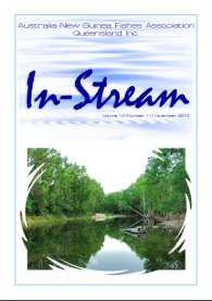In-Stream 19:11 - November 2010 In-Stream 19:11