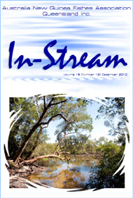 In-Stream 19:12 - December 2010 In-Stream 19:11