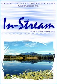 In-Stream 21:08