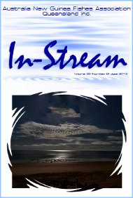 In-Stream 22:06