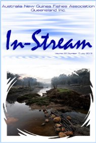 In-Stream 22:07, July 2013