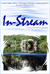 In-Stream 22:08, July 2013