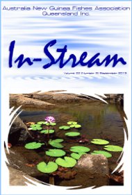 In-Stream 22:09, September 2013